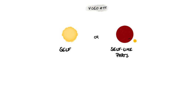 15. Self-Like Parts in IFS: Recognizing and Understanding