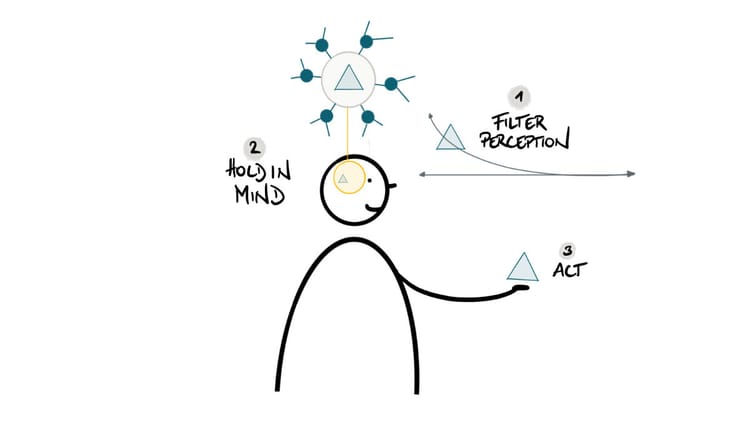 3. The Knowledge Architect: 6 Principles for Building Courses That Actually Work